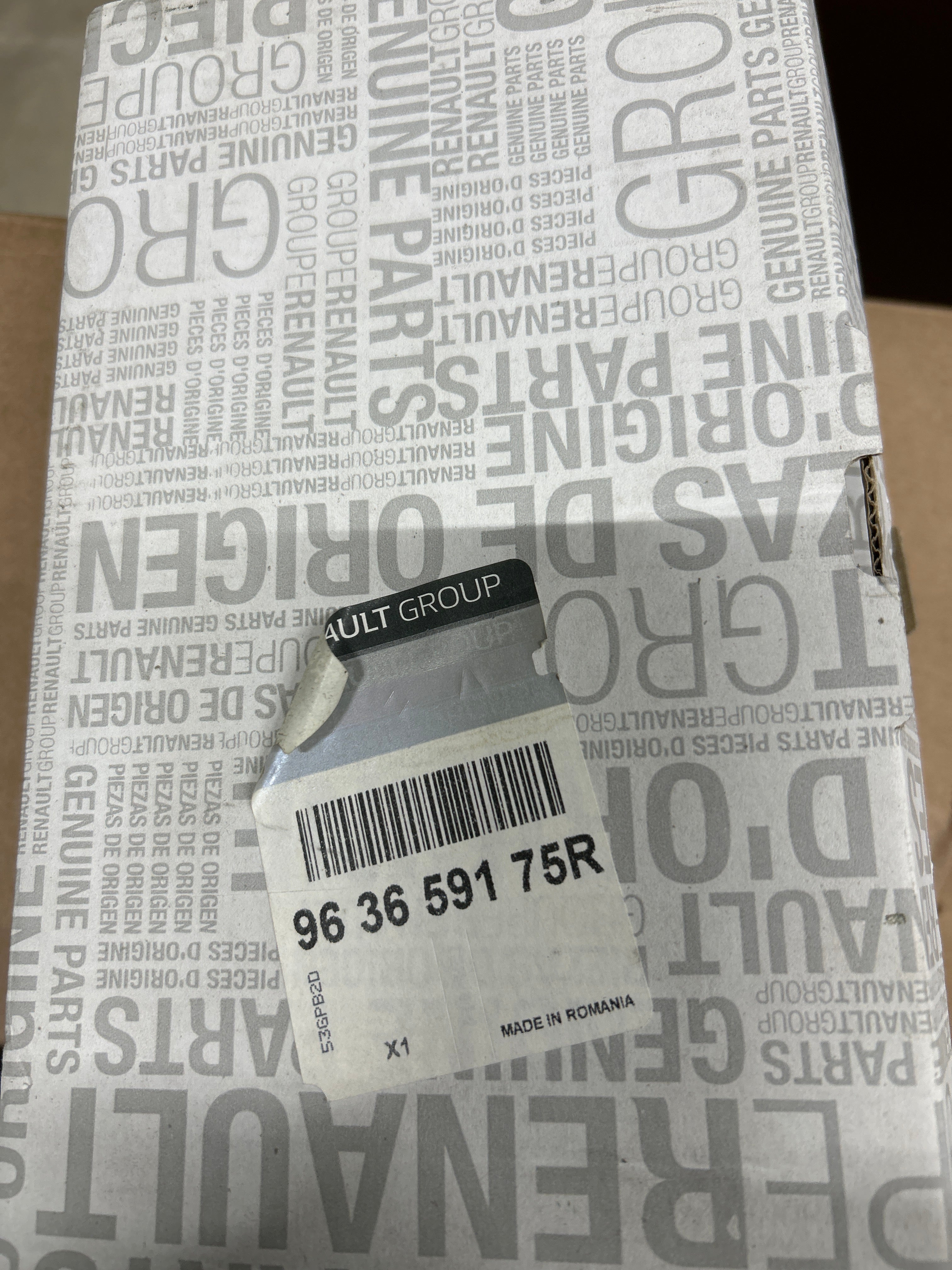 963659175R specchietto duster