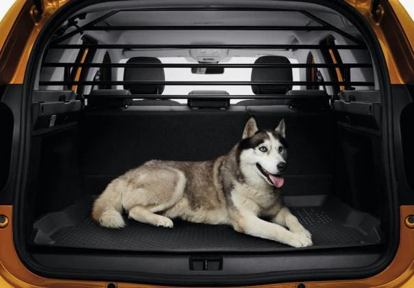 Griglia separazione cani Dacia Duster2: 8201698193