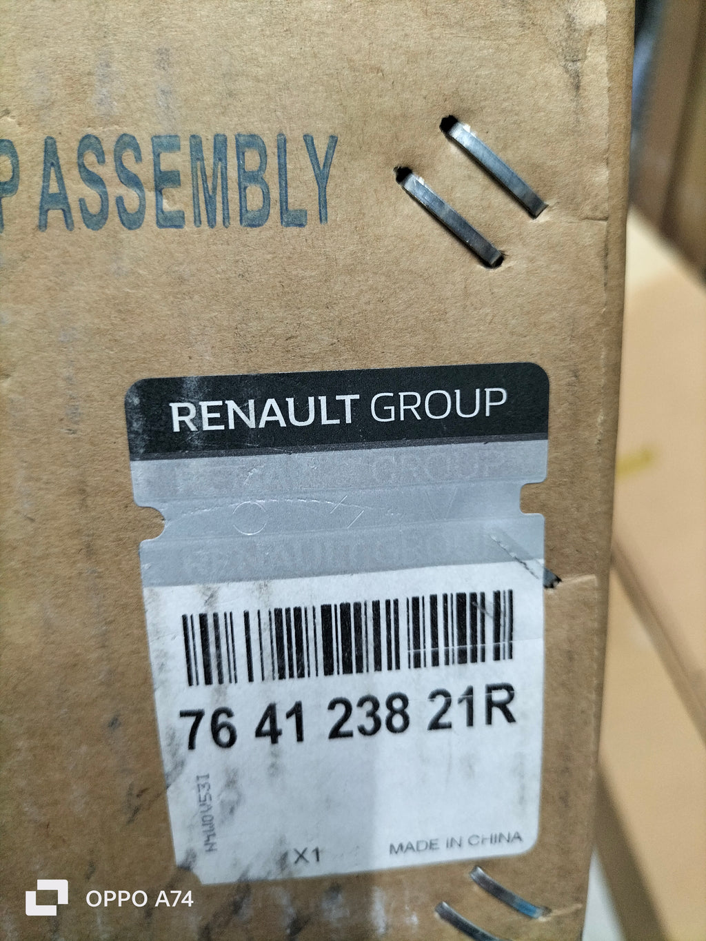 Pedana lat sinistro Renault Rafale: 764123821R
